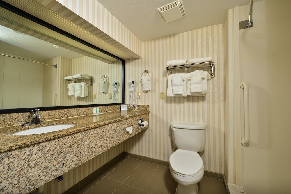 Suite, 1 King Bed, Non Smoking - Photo 6