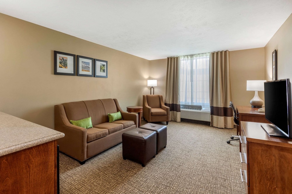 Suite, 1 King Bed with Sofa bed, Non Smoking (Living Room) - Photo 1