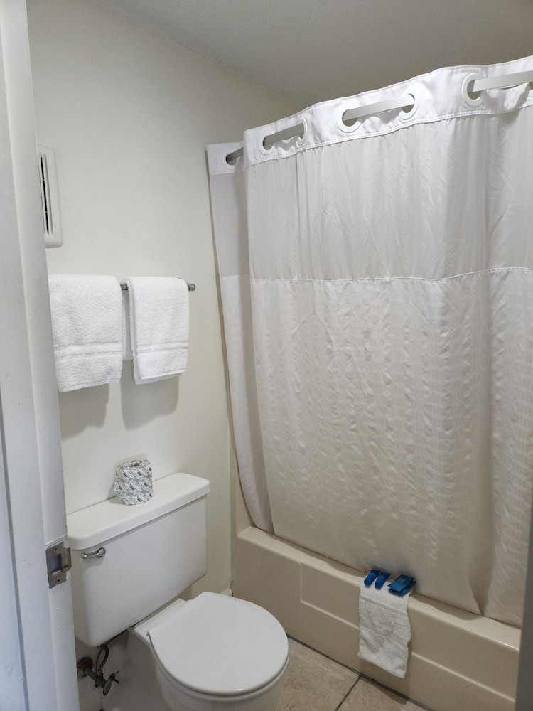 Room- Dog Friendly Queen Deluxe Room w/Sleeper photo 3