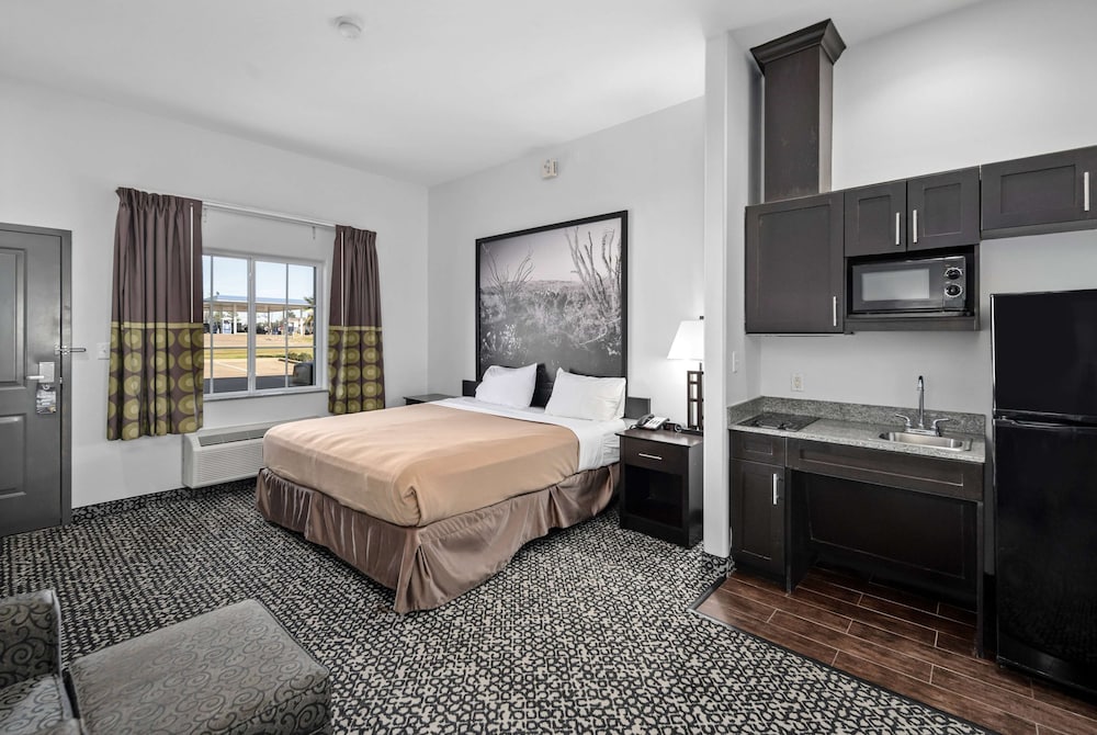 Room, 1 King Bed, Non Smoking (Efficiency) - Photo 4