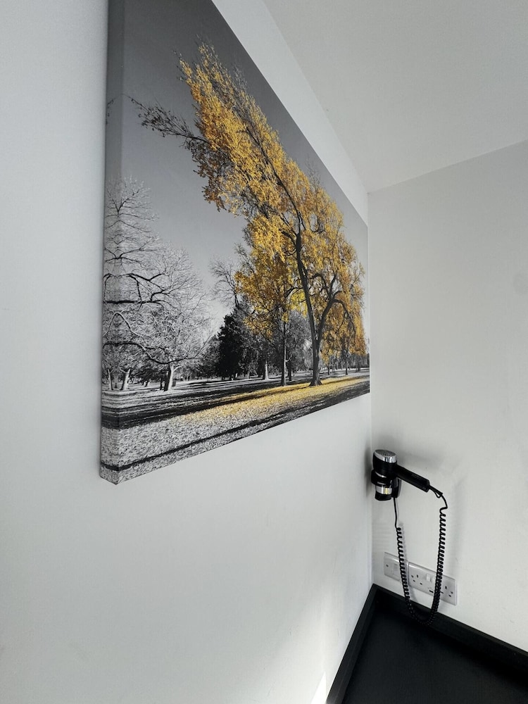 Studio (1 Bedroom) photo 3
