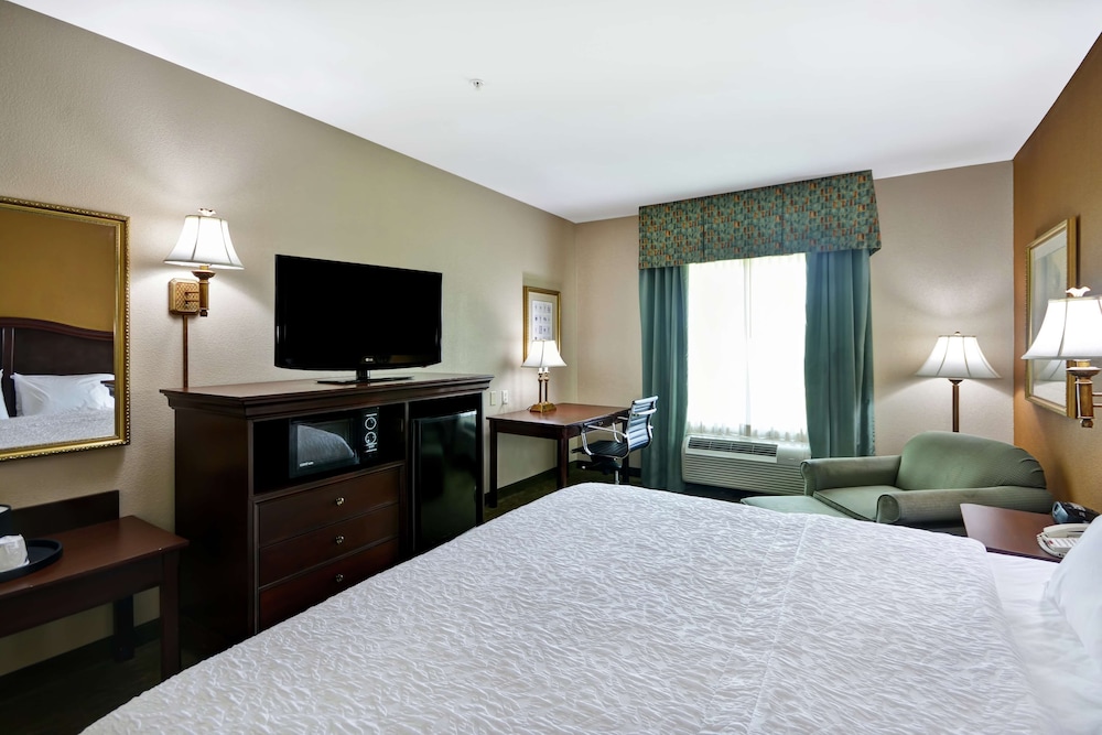 Room, 1 King Bed, Accessible, Bathtub (Mobility & Hearing) - Photo 2