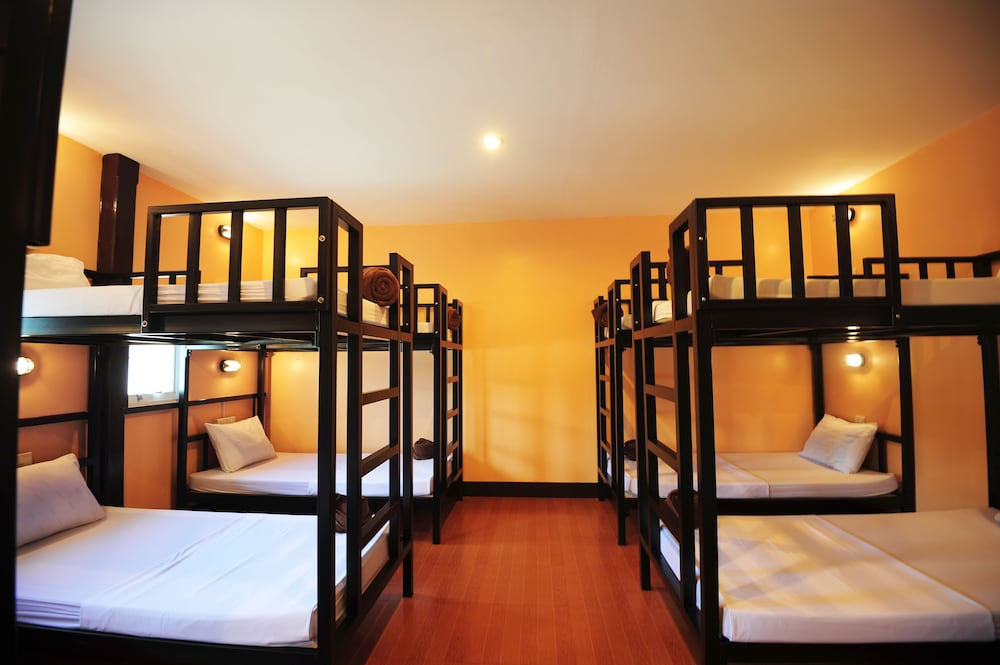 Basic Shared Dormitory, Women only photo 2