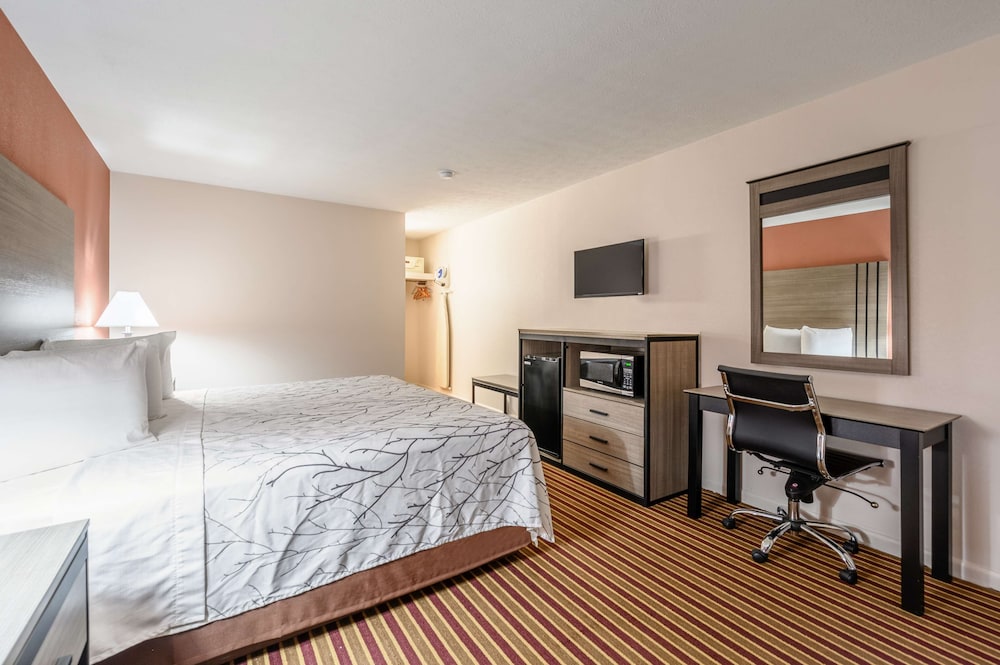 Room, 1 King Bed, Non Smoking photo 3