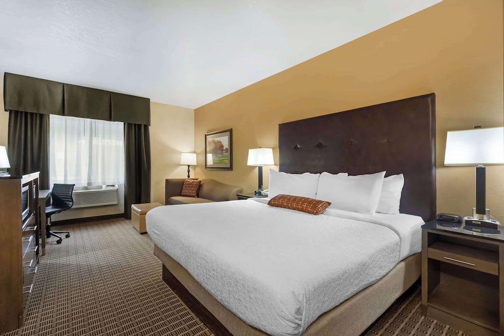 Standard Room, 1 King Bed, Accessible, Refrigerator & Microwave (Walk-in Shower;with Sofabed)