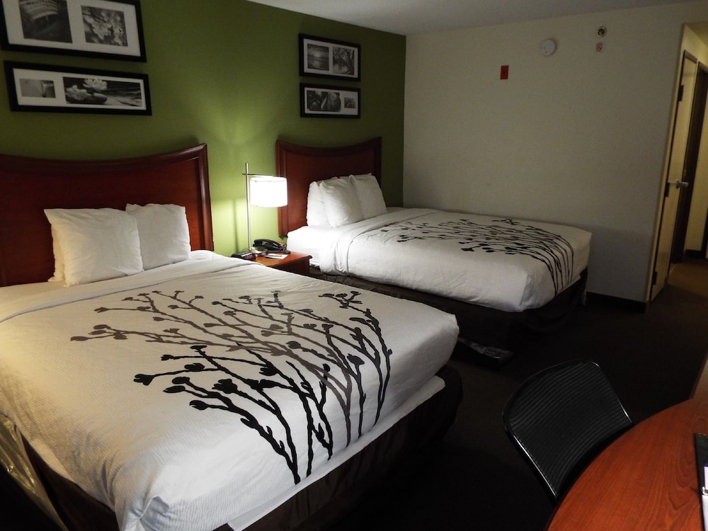 Standard Room, 2 Double Beds, Non Smoking, Bathtub photo 2