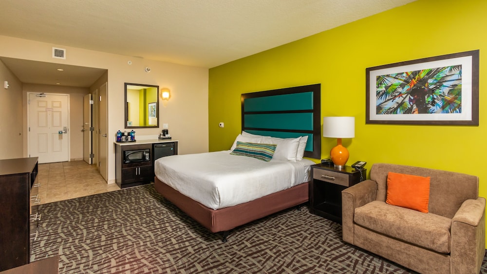 Standard Single Room, 1 King Bed, Accessible