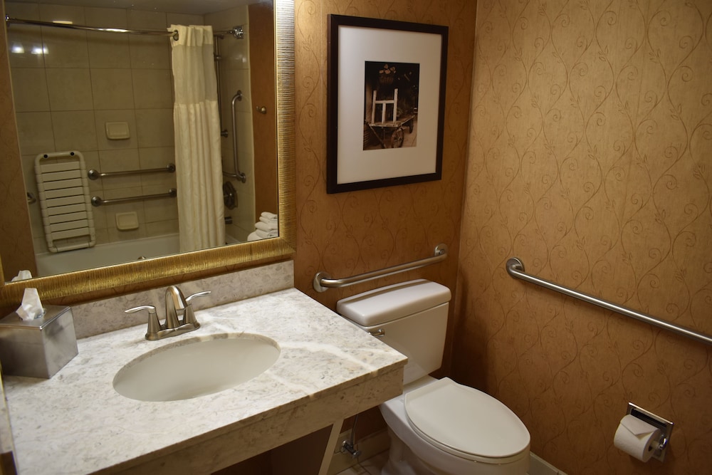 Room, Accessible, Non Smoking photo 1