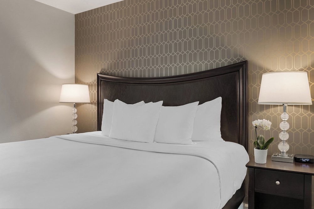 Suite, 1 King Bed photo 2