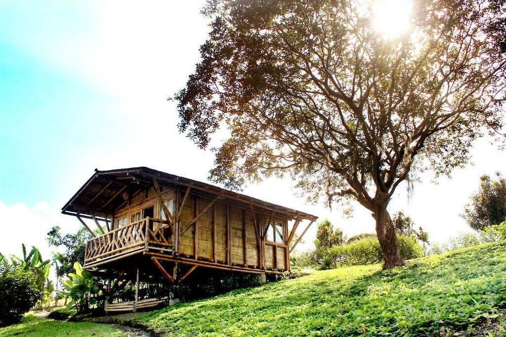 Cabin, 1 Queen Bed, Balcony, Hill View