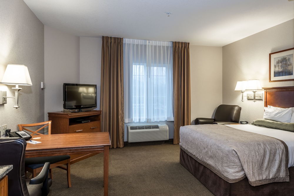 Suite, 1 Bedroom - Photo 3