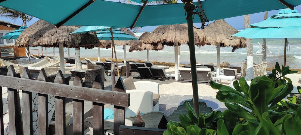 Premium Suite, Oceanfront - Photo 4