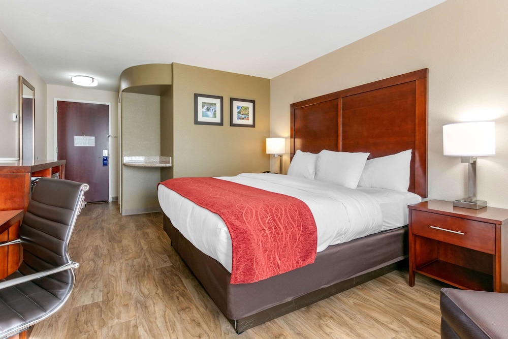 Room, 1 King Bed, Non Smoking (Upgrade) - Photo 5