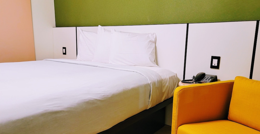 Family Single Room, 1 King Bed with Sofa bed, Non Smoking photo 1