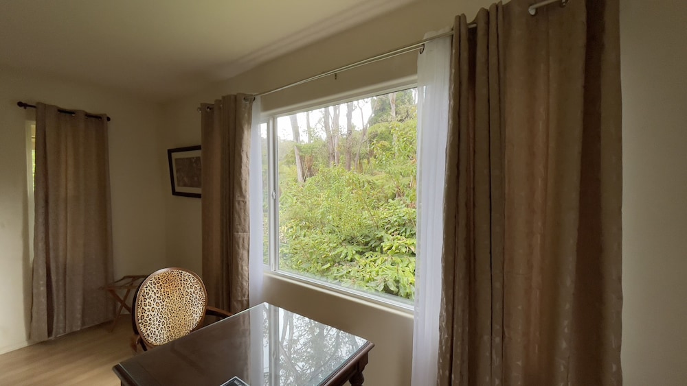 Room (Rainforest) - Photo 10