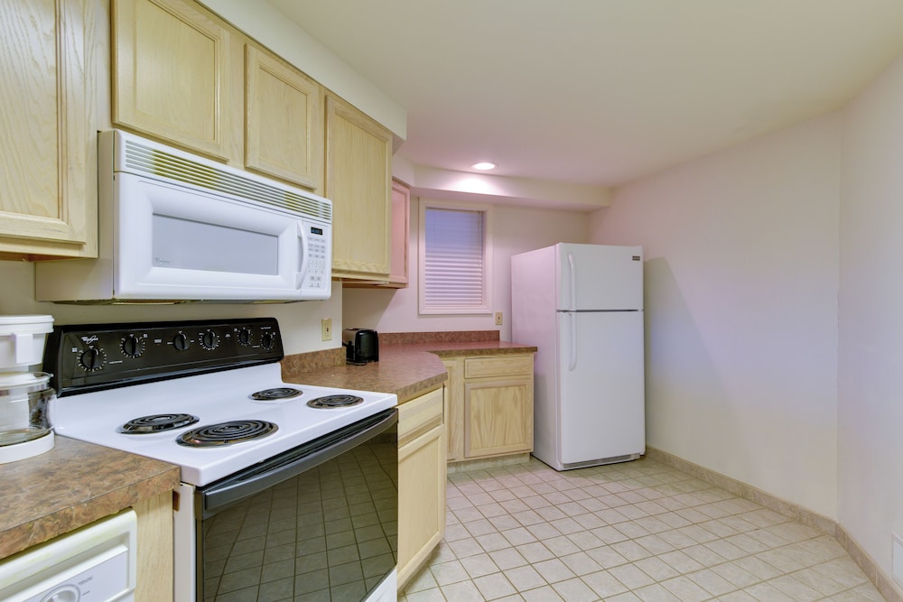 Apartment (1 Bedroom) photo 2