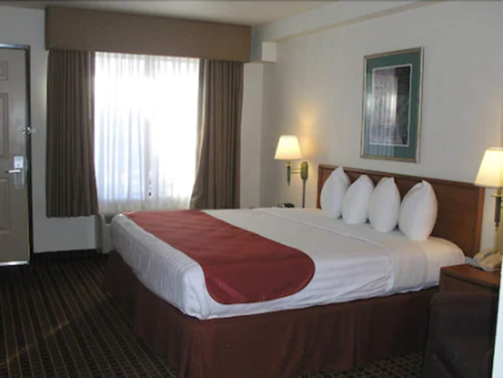 Traditional Room, 1 King Bed photo 1