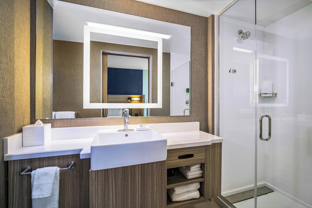 Suite, 1 King Bed - Photo 4