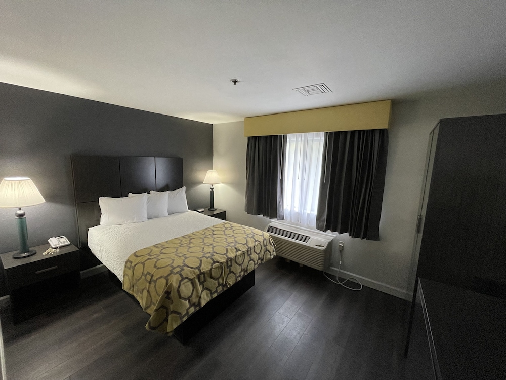 Room, 1 King Bed photo 2