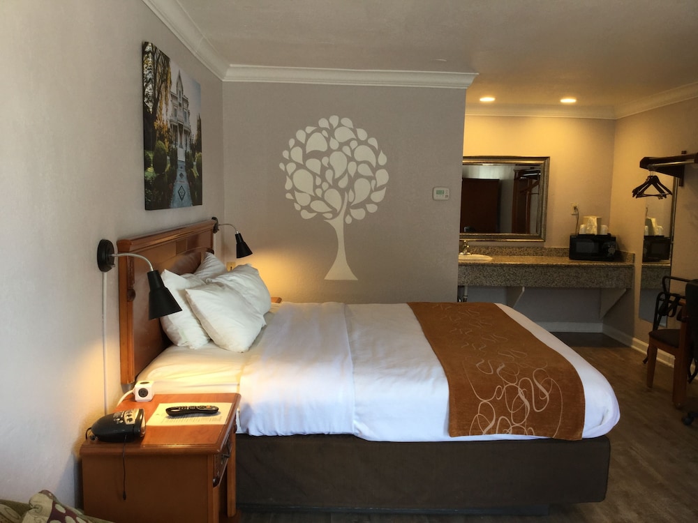Premium Room, 1 King Bed, Smoking photo 2