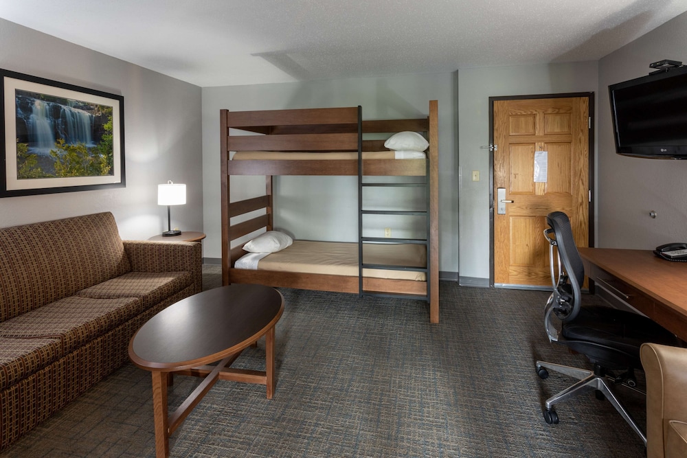Suite, 1 King Bed with Sofa bed