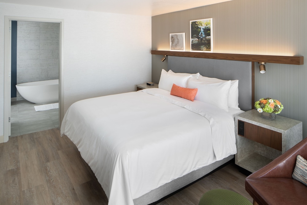 Suite (Domain) - Photo 1