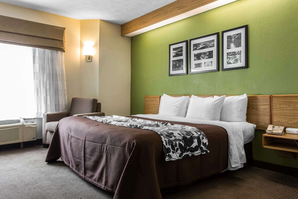 Room, 1 Queen Bed, Accessible, Non Smoking - Photo 1