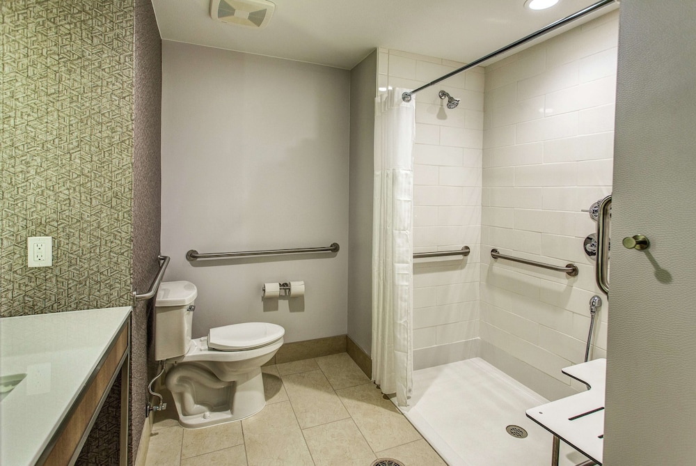 Room, 1 King Bed, Accessible (Mobility & Hearing, Roll-in Shower)