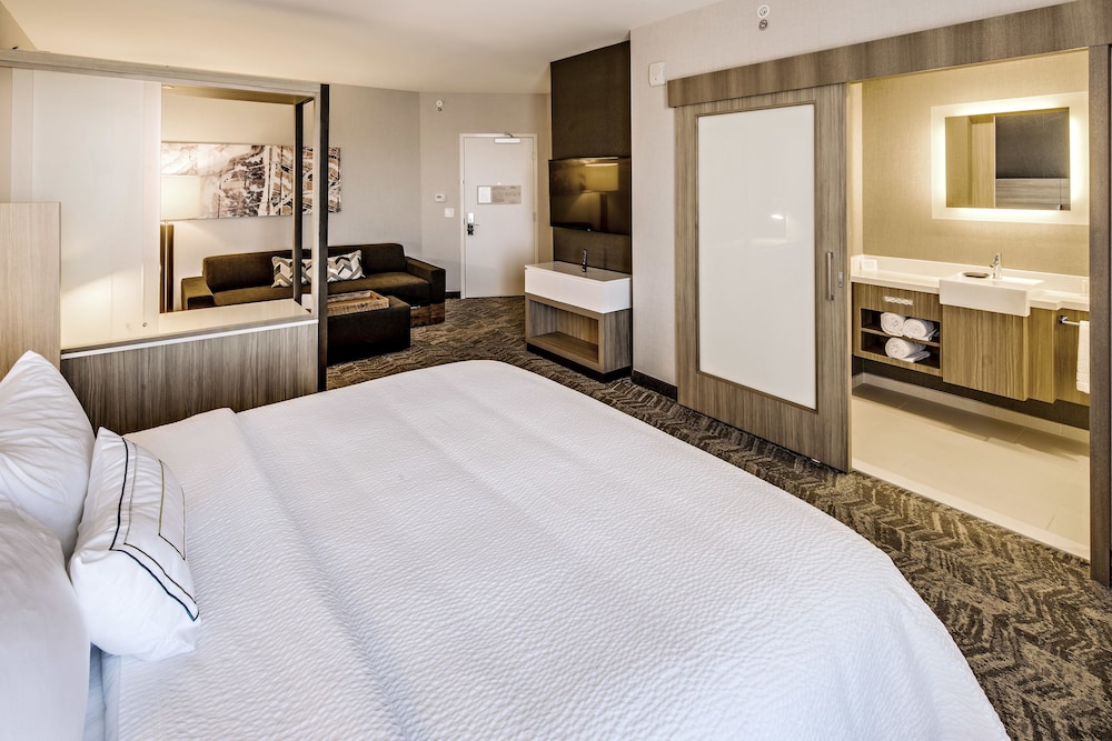 Suite, 1 King Bed with Sofa bed (Hearing Accessible) photo 2
