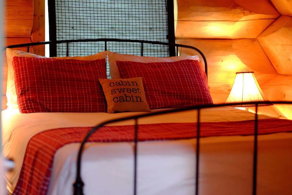 Northern Lights Cabin photo 1