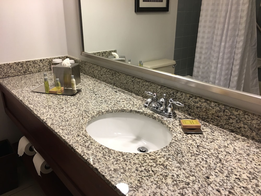 Room, 1 King Bed, Accessible, Bathtub (Mobility/Hearing) - Photo 8