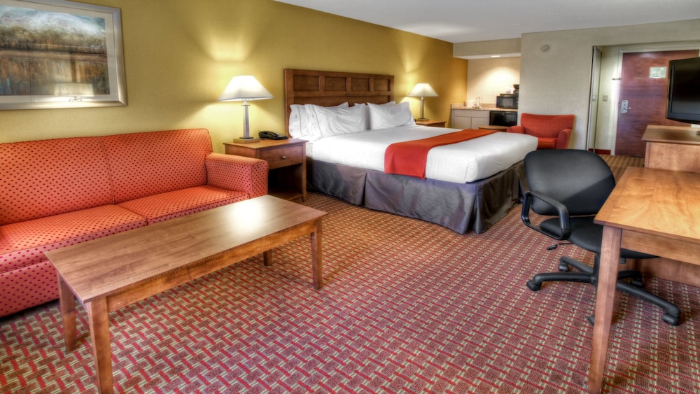 Suite, 1 King Bed photo 2