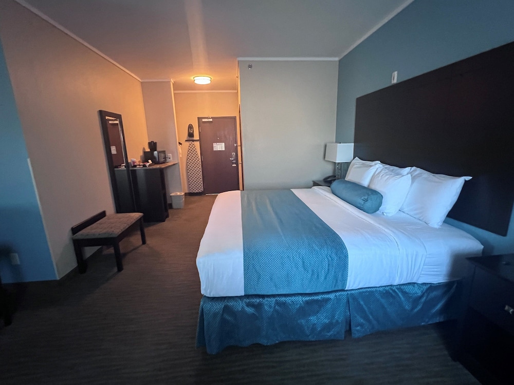 Studio Suite, 1 King Bed, Non Smoking photo 2