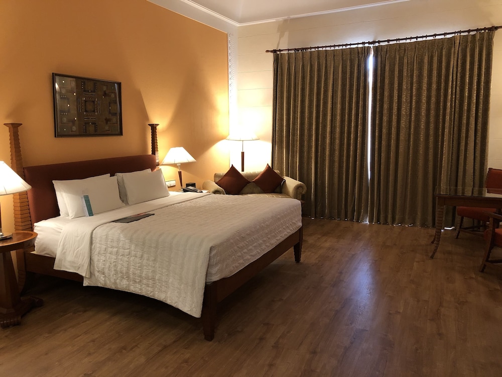 Room, 1 King Bed