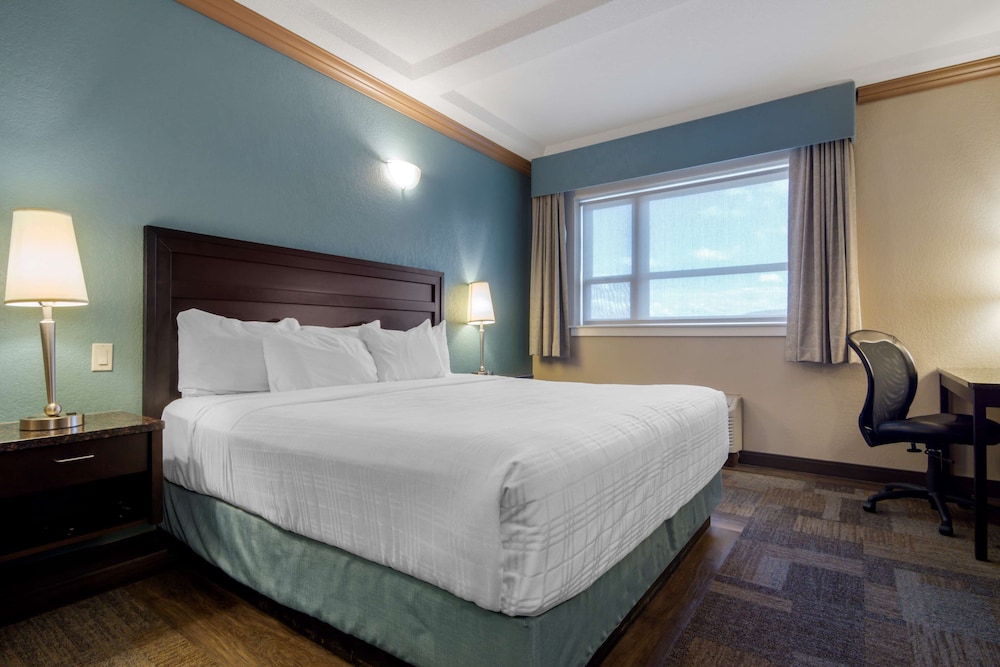 Standard Room, 1 King Bed, Non Smoking, Refrigerator & Microwave (with Sofabed) photo 3