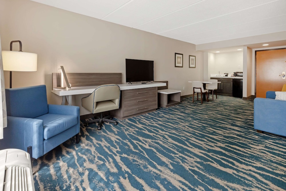 Standard Suite, 1 King Bed, Non Smoking - Photo 16