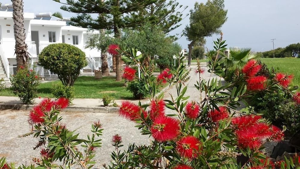 Economy Bungalow photo 2