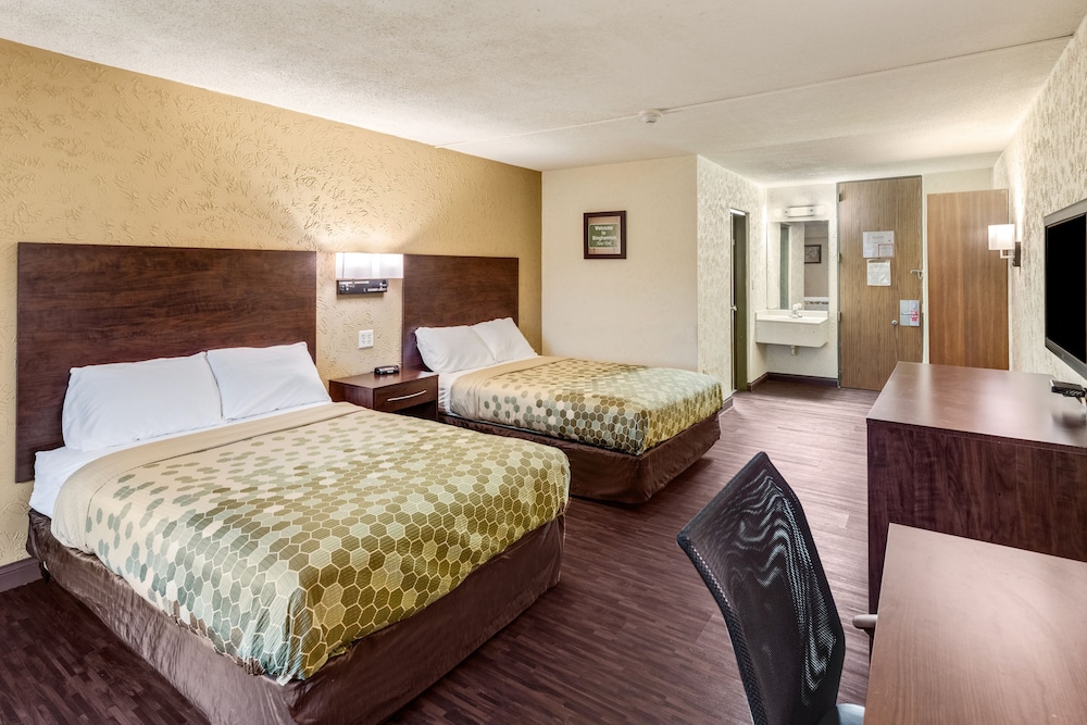 Room, 2 Double Beds, Accessible, Non Smoking photo 2