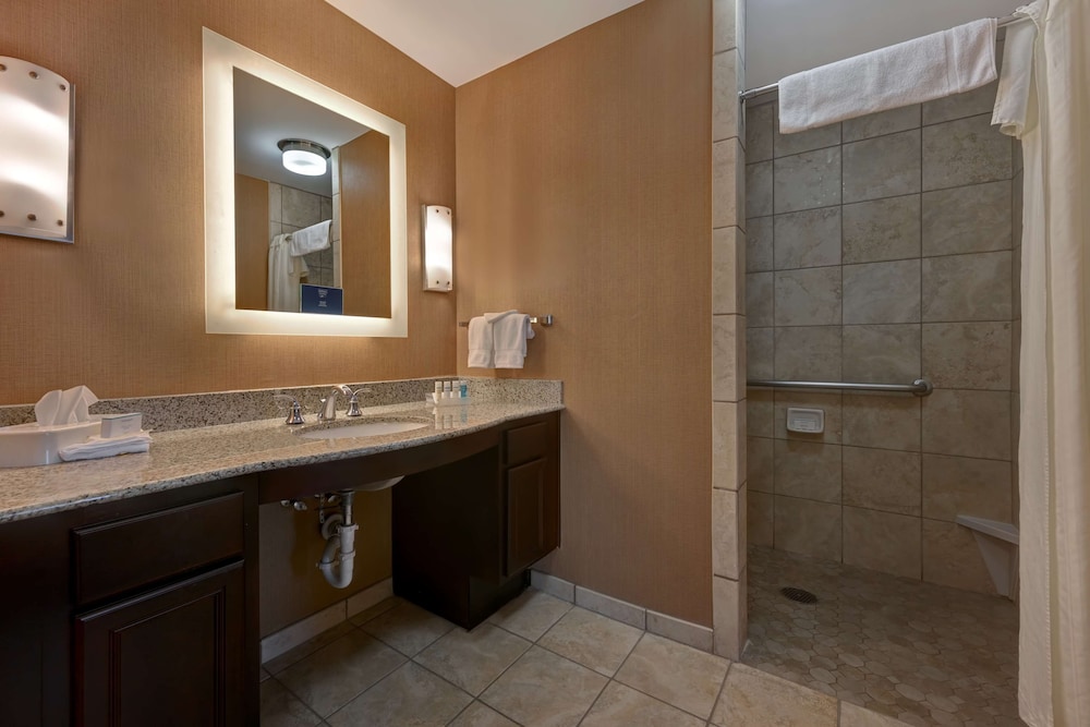 Studio, 1 King Bed, Accessible (Mobility & Hearing, Roll-in Shower) - Photo 5