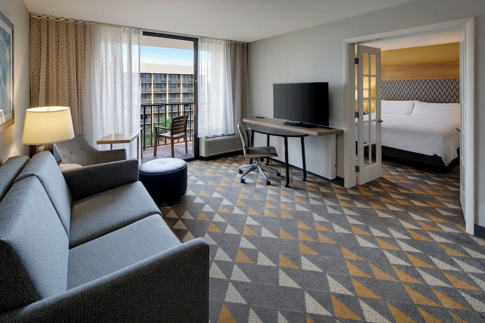 Suite, 1 King Bed with Sofa bed