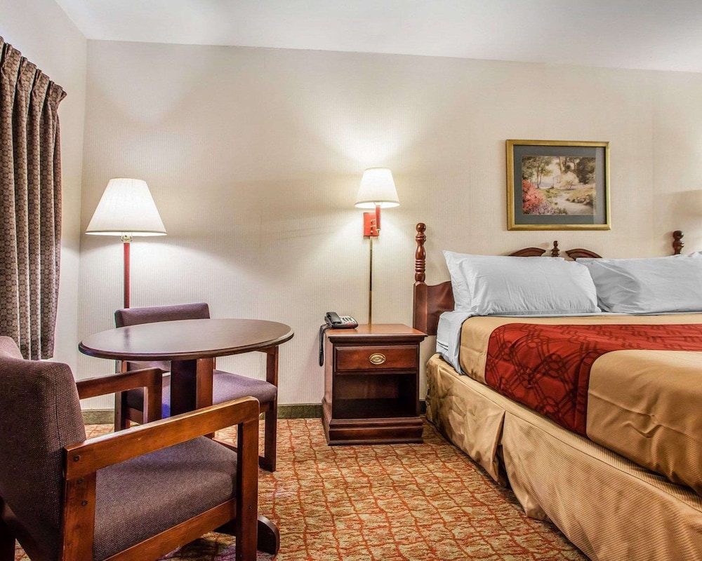 Standard Room, 1 King Bed, Non Smoking - Photo 9