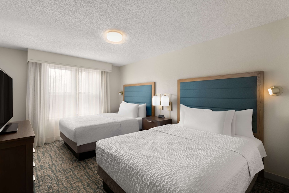 Suite, 1 Bedroom photo 2