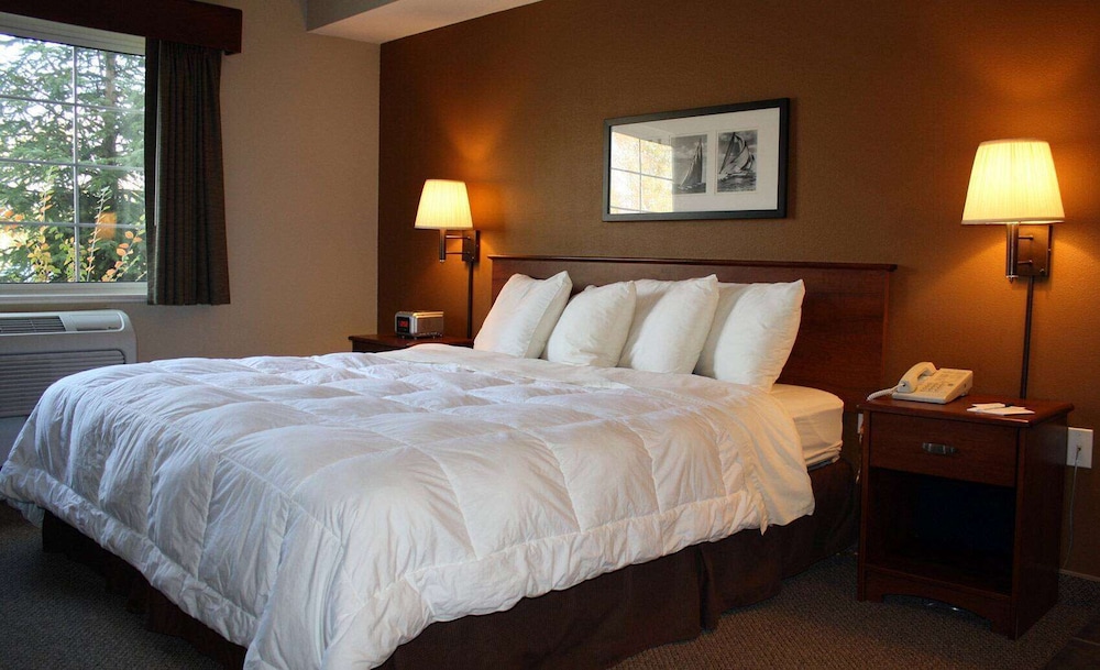 Deluxe Suite, 1 King Bed, Non Smoking (Deluxe Efficiency)