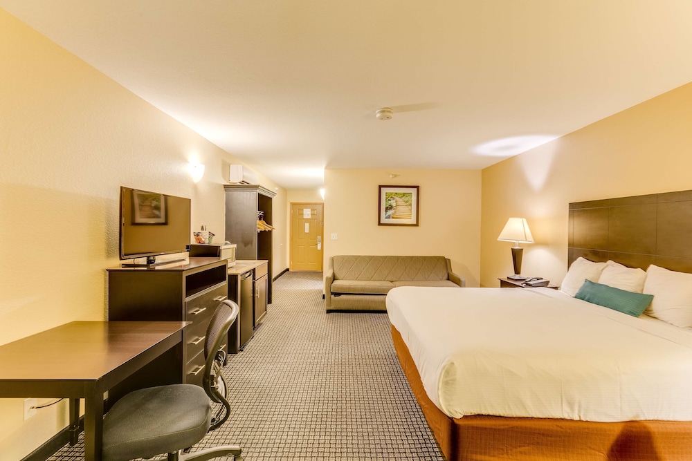 Suite, 1 King Bed, Balcony, Pool View (with Sofabed) - Photo 1