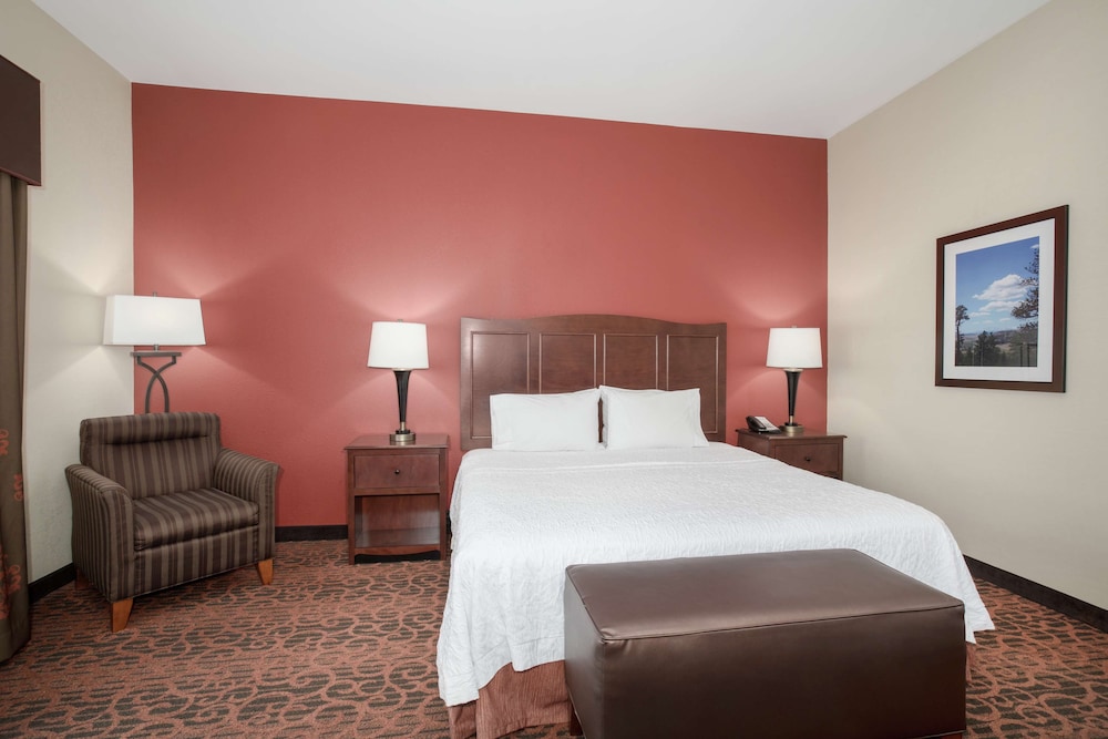 Room, 1 King Bed, Accessible, Non Smoking photo 1