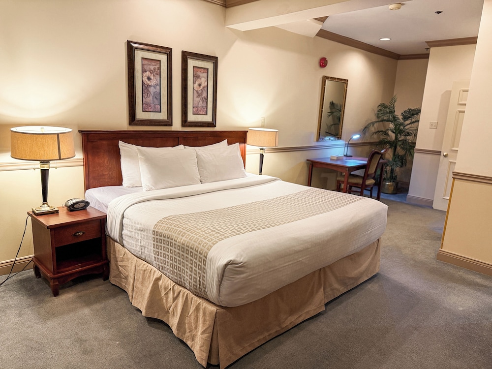 2 Storey Executive Suite, 1 Bedroom, Pets Not Allowed photo 2