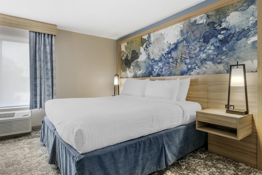 Junior Suite, 1 King Bed, Non Smoking, Refrigerator & Microwave - Photo 3