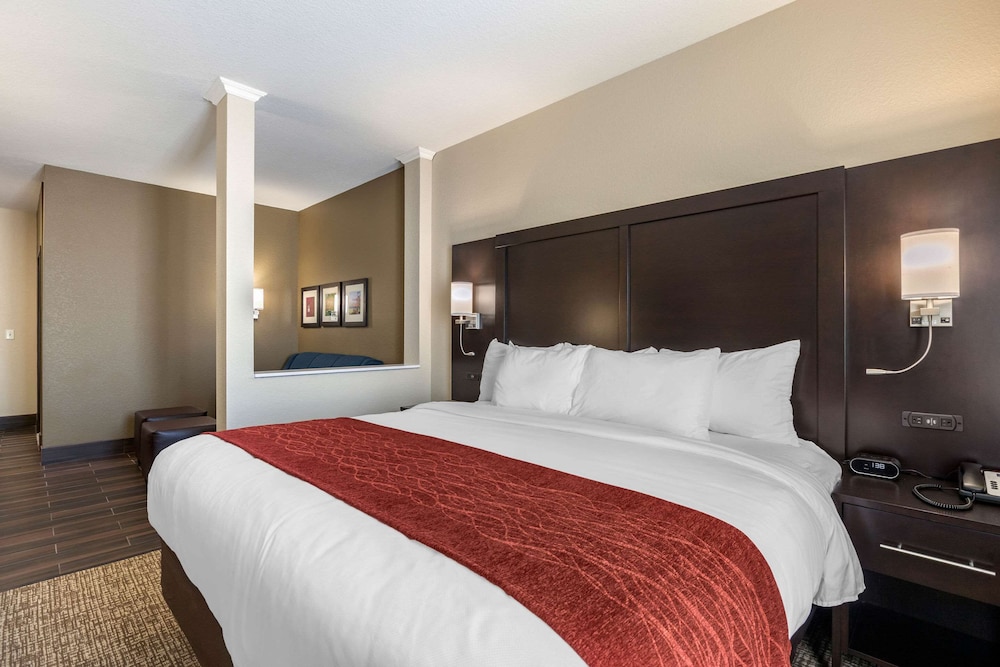 Comfort Inn & Suites Cedar Rapids CID Eastern Iowa Airport, Zdjęcie 3