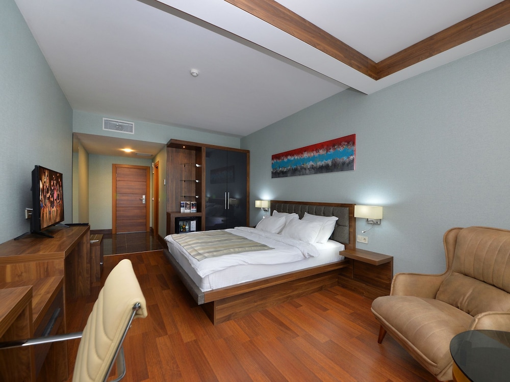 Standard Double or Twin Room, 1 King Bed photo 2