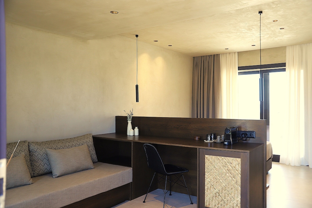 Junior Studio Suite photo 1